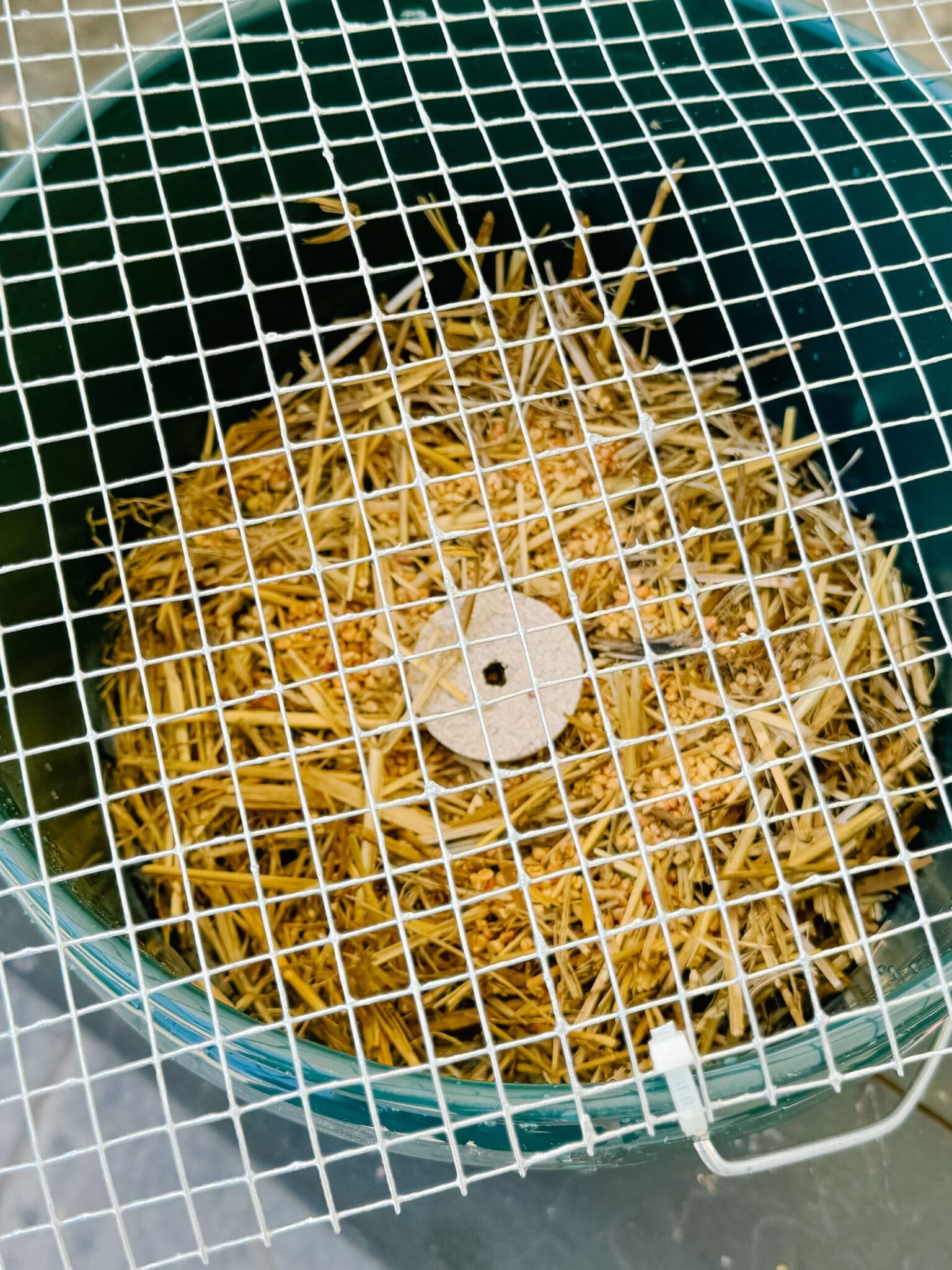 How to Kill Mosquitoes and Their Larvae with the Mosquito Bucket of Doom