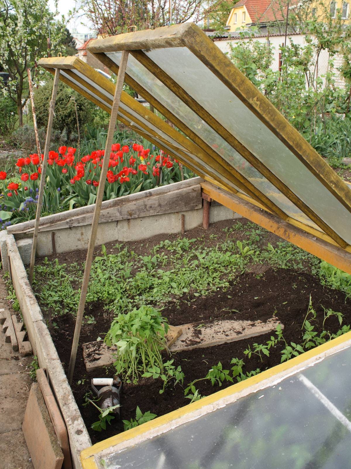 10 Ways to Heat Your Greenhouse in Winter Without Electricity