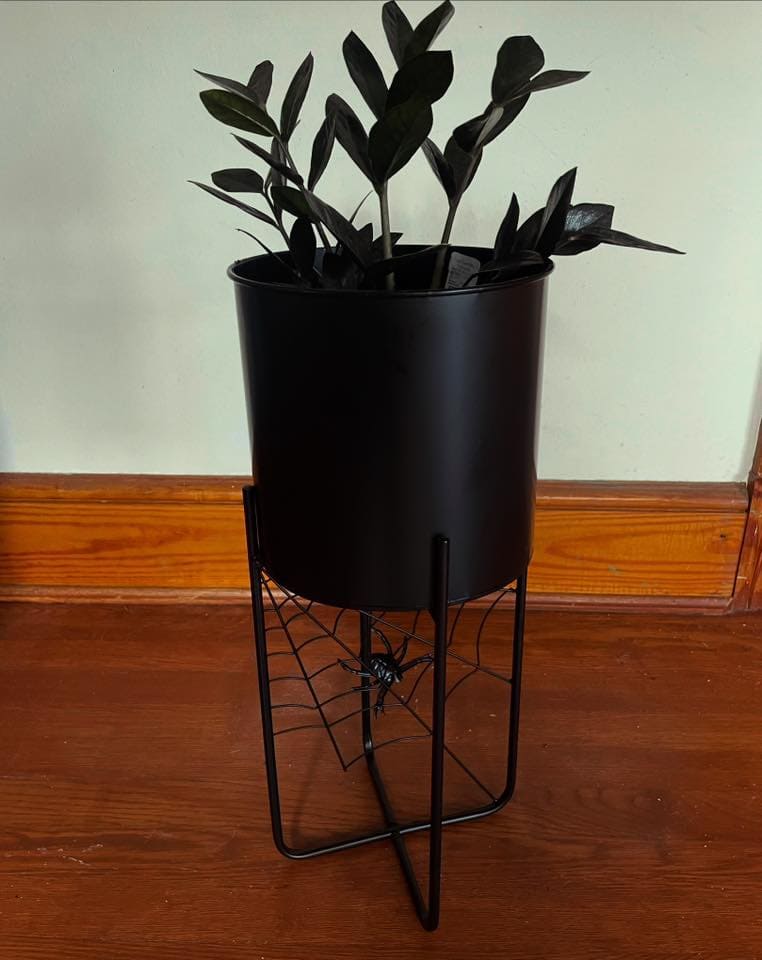 Midnight Web Halloween Planter