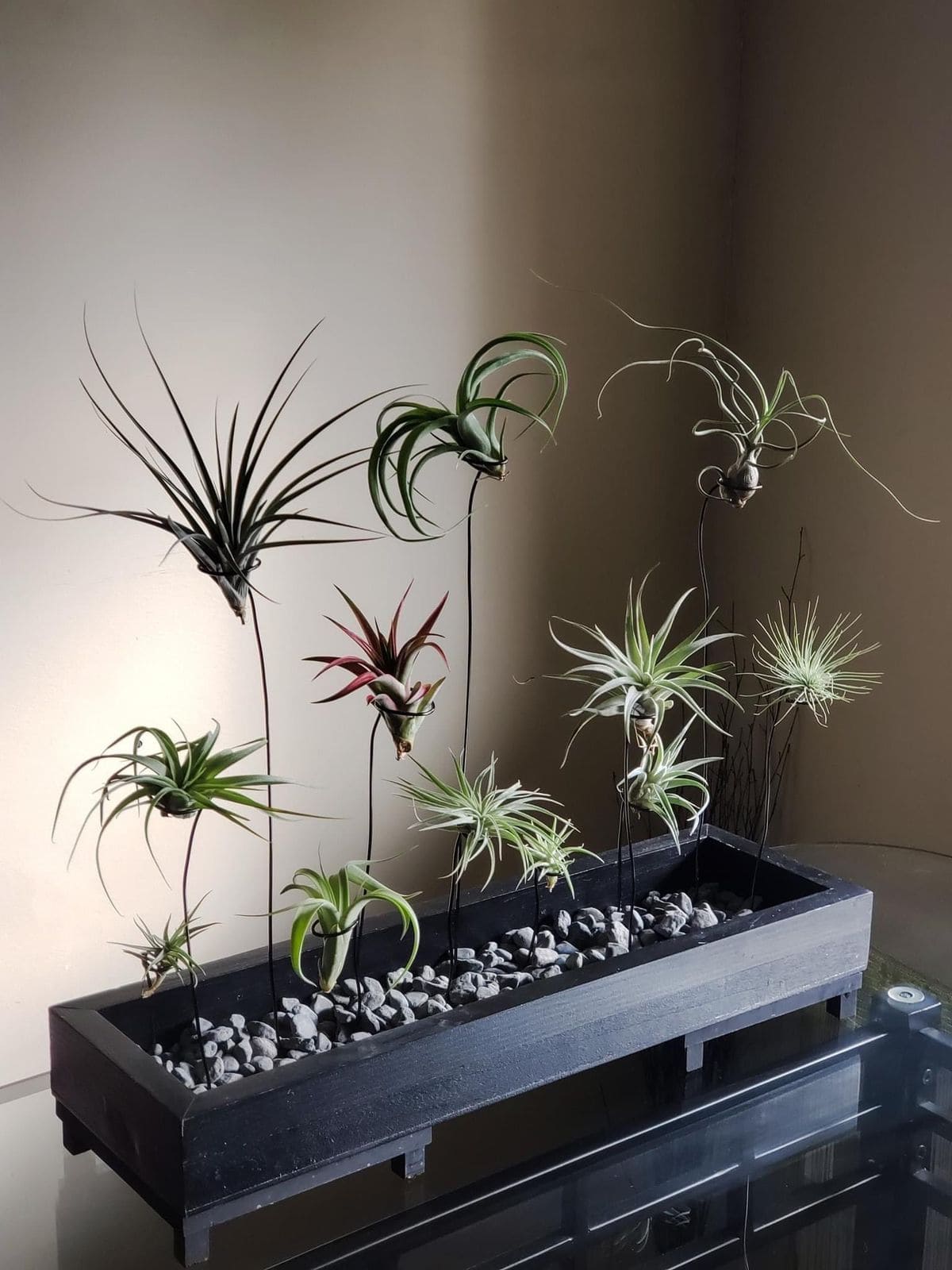 Minimalist Zen Wire Garden