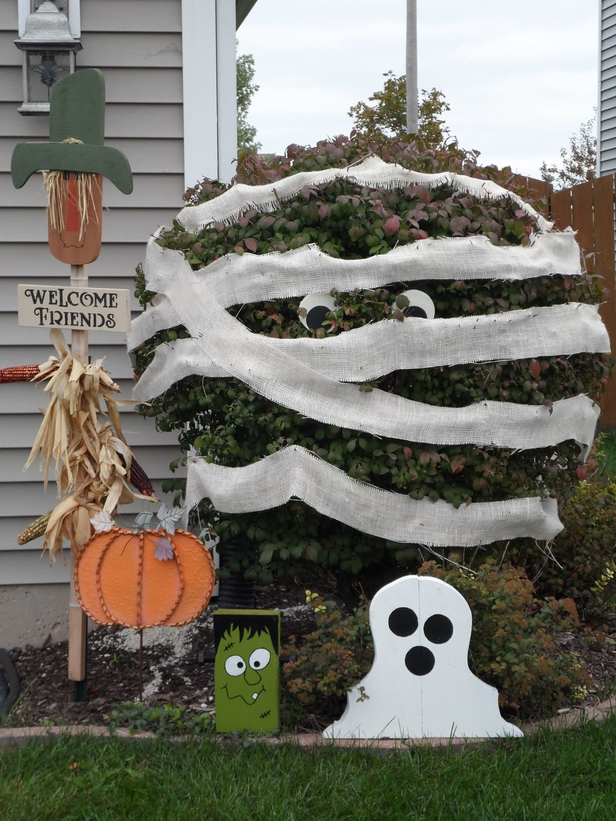 Mummified Shrub Buddy