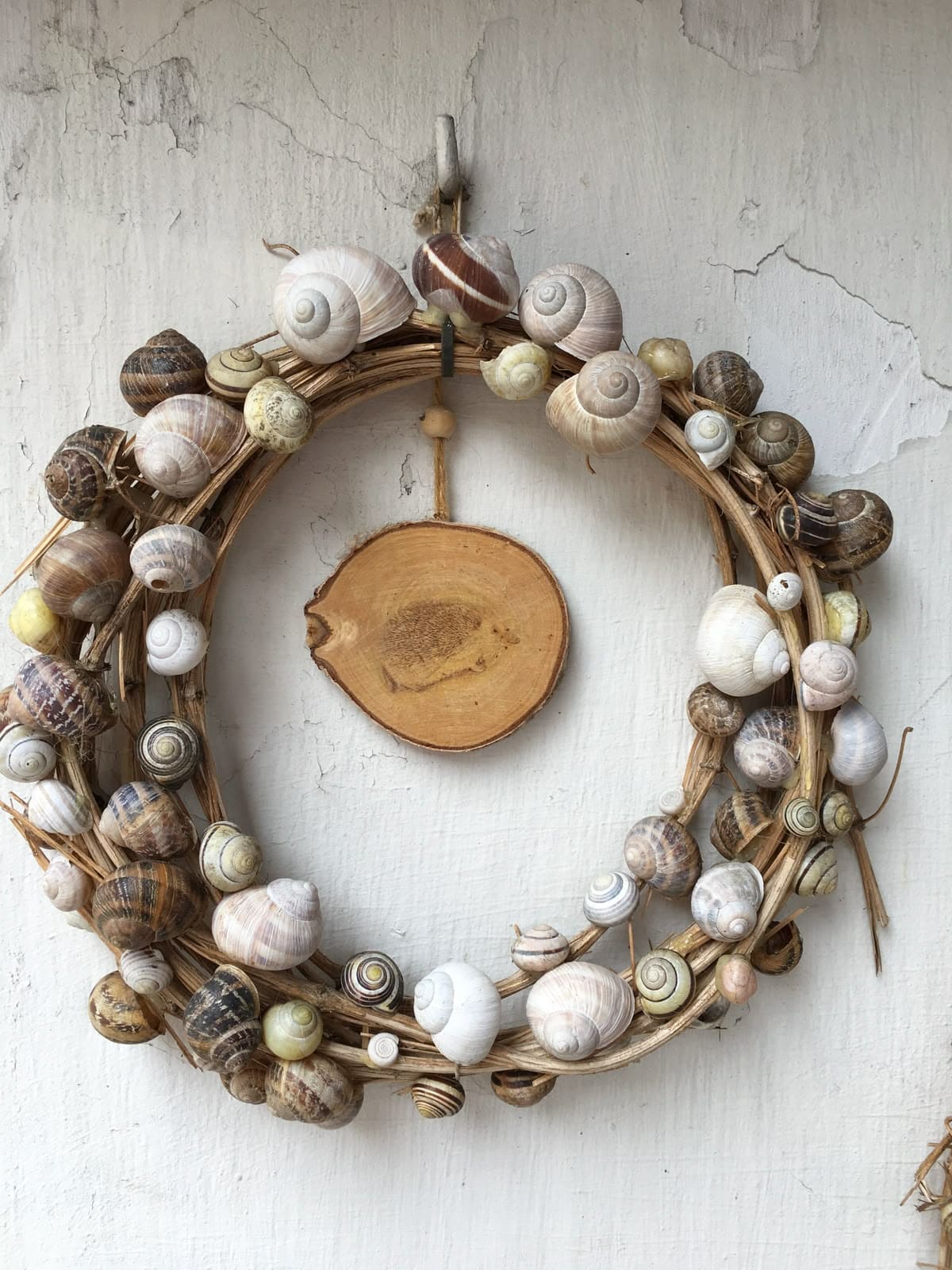Natural Snail Shell Grapevine Wreath