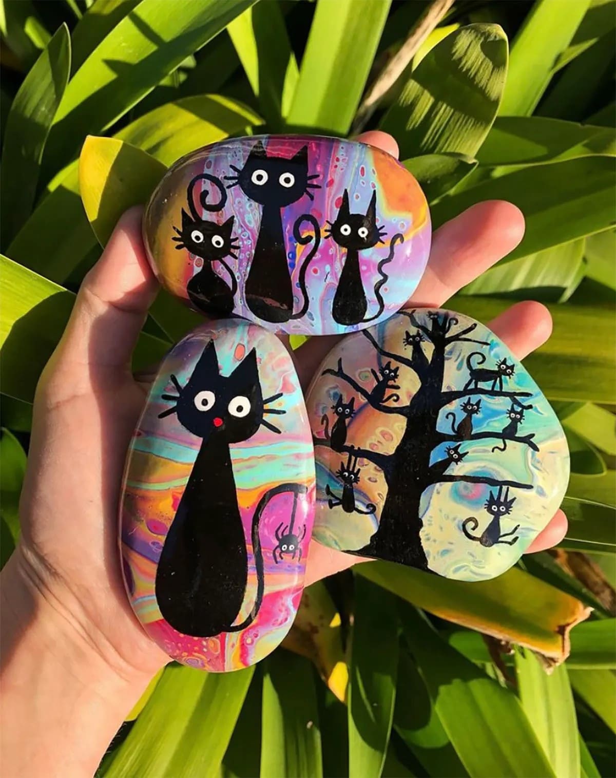 Psychedelic Black Cat Rocks