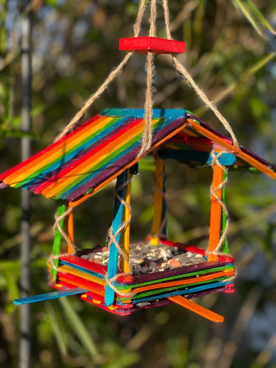 Rainbow Popsicle Stick Bird Feeder