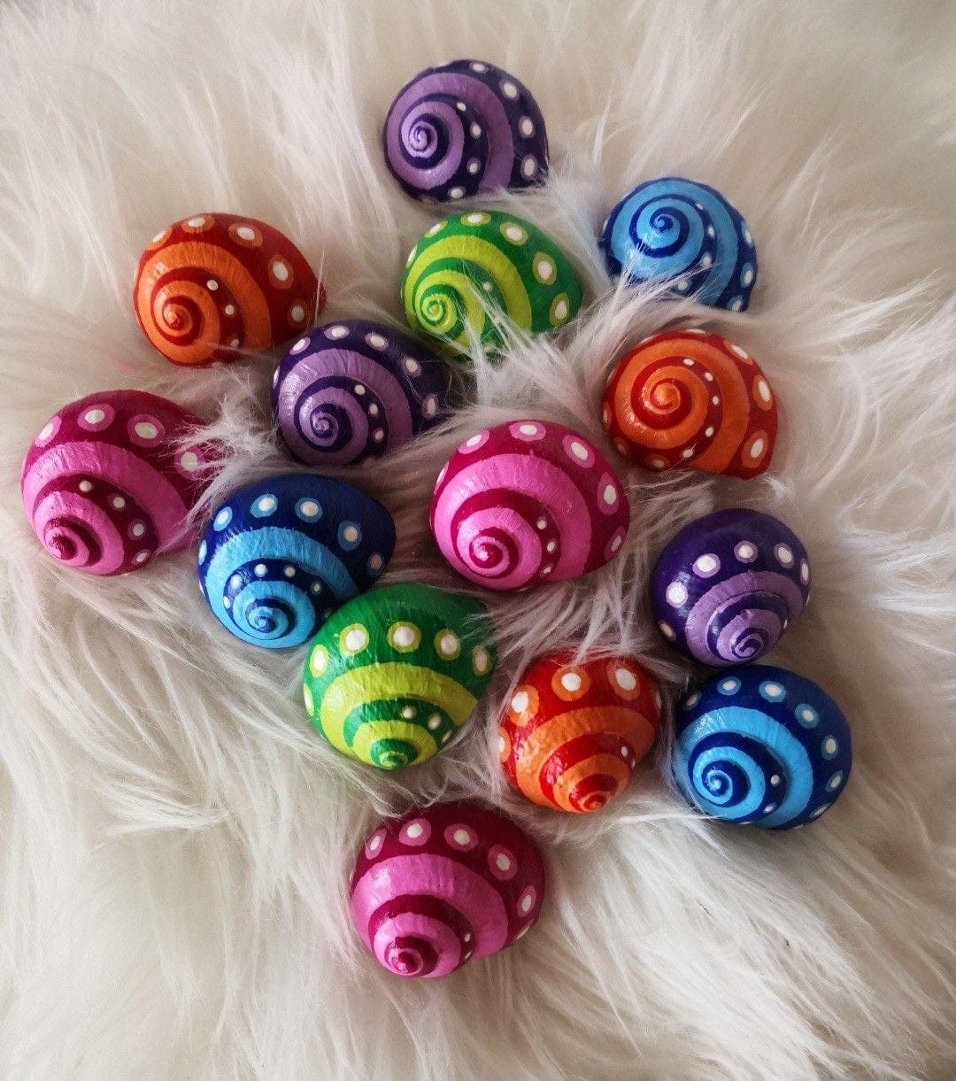 Rainbow Spiral Snail Shells