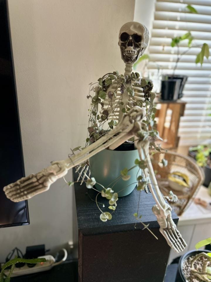 Resting in Vines Halloween Planter