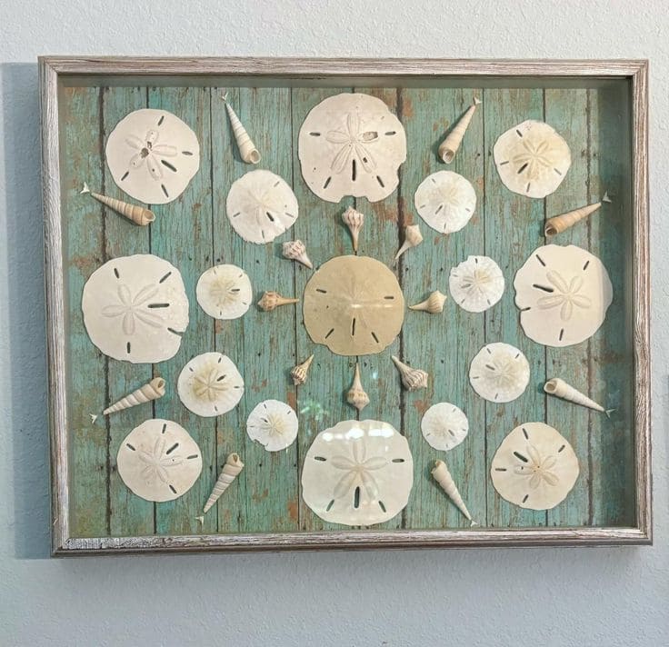 Rustic Framed Sand Dollar and Shell Art