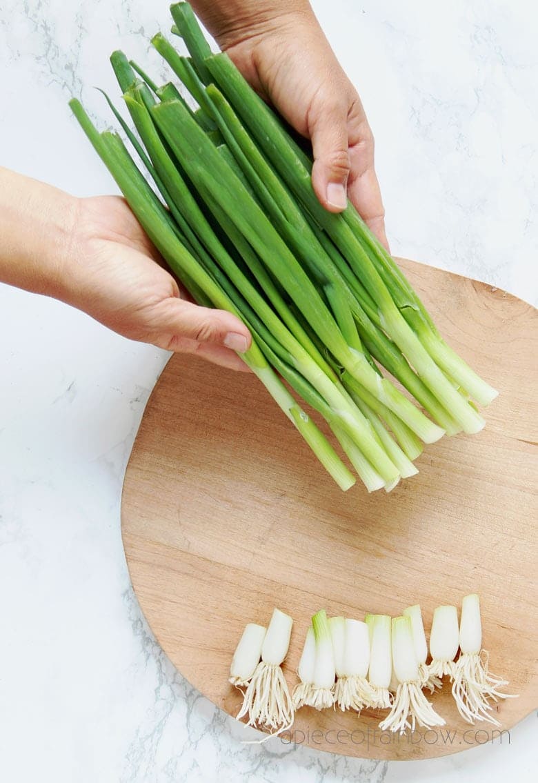 How to Grow Endless Green Onions at Home for Beginners