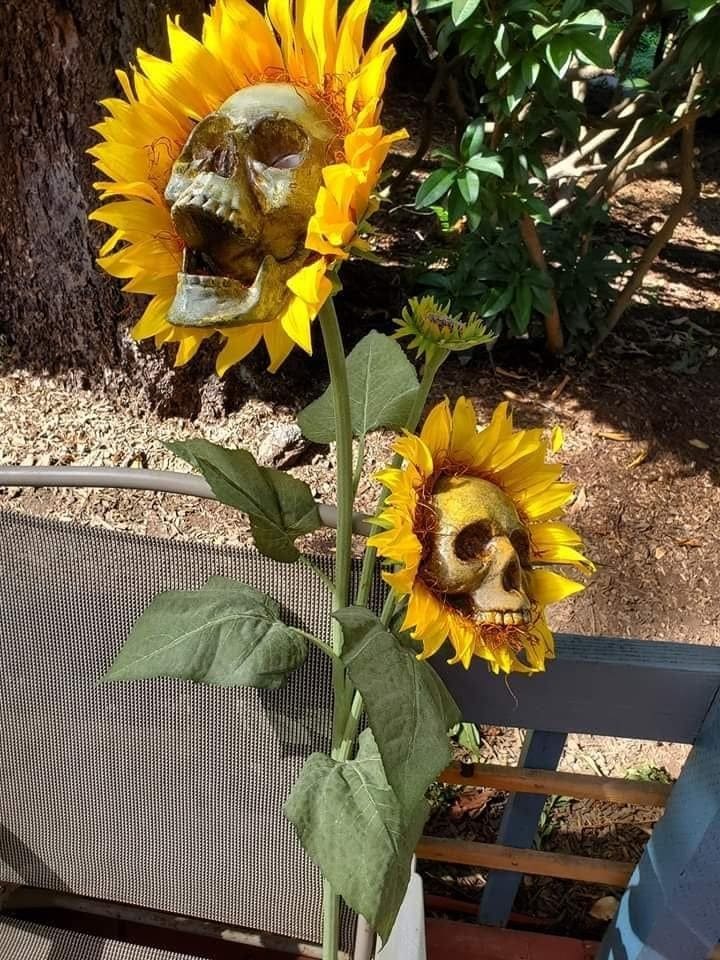 Screaming Sunflowers