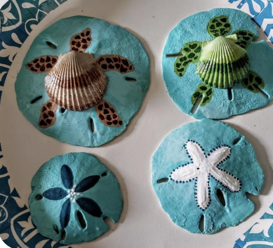 Sea Turtle and Starfish Sand Dollar Art