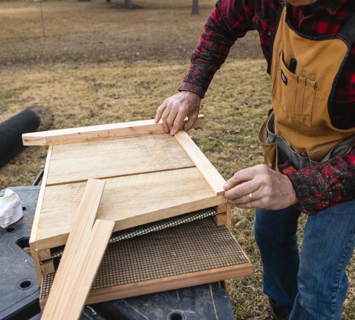 How to Build a Bat House to Attract Nature’s Pest Patrol