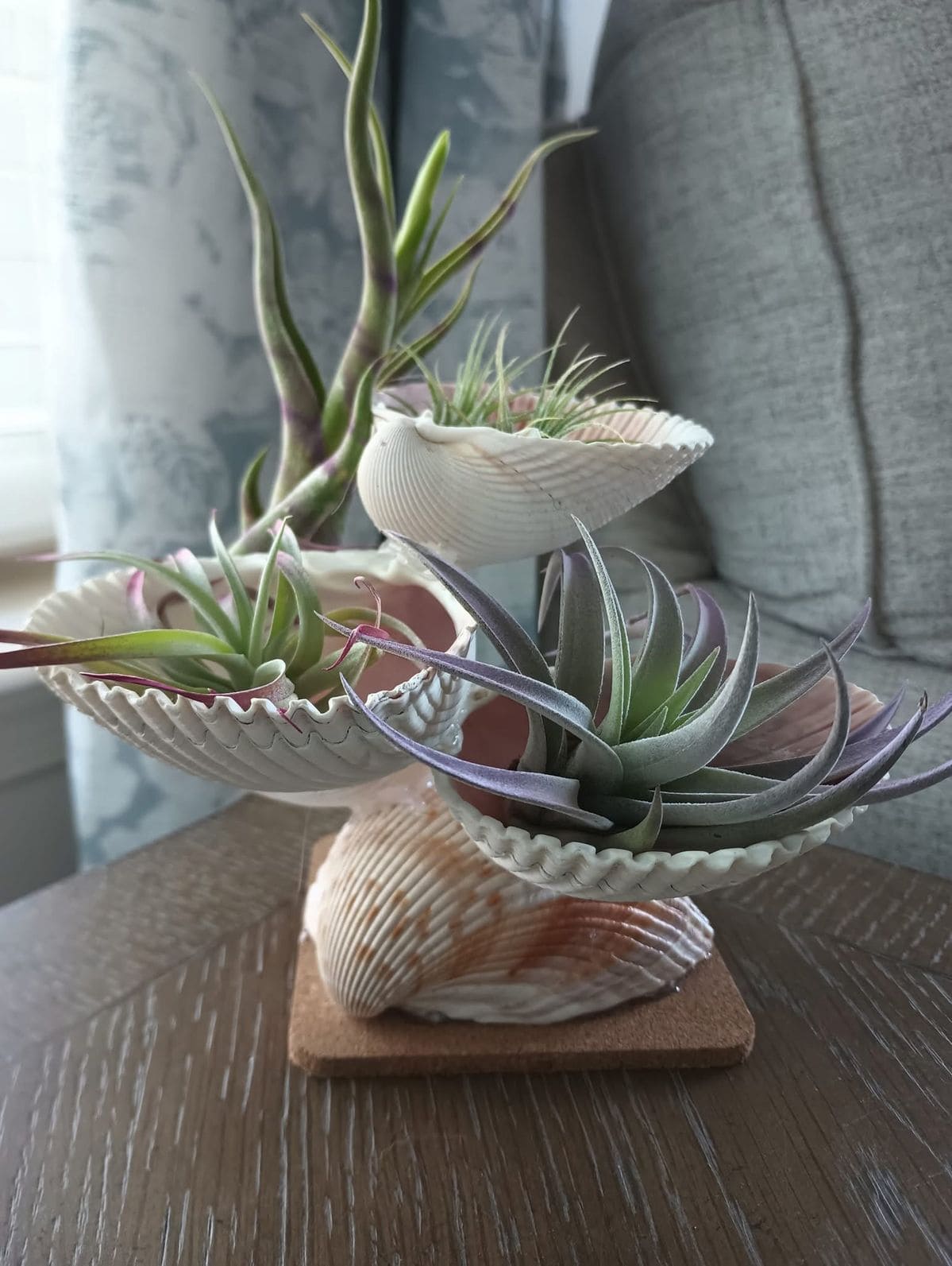 Seashell Tower Air Plant Holder