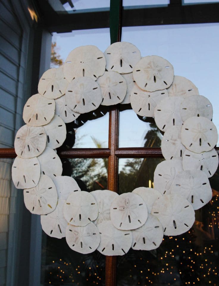 Seaside Sand Dollar Wreath
