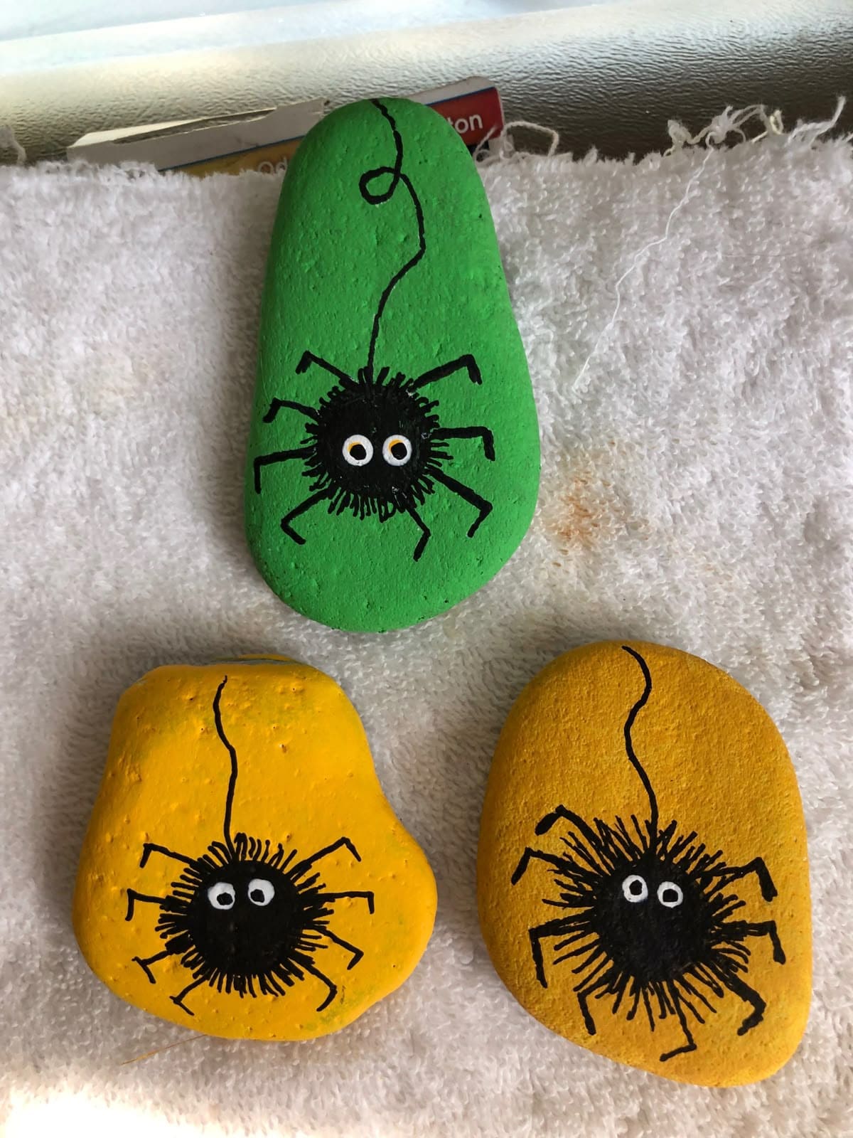 Silly Spider Rock Trio