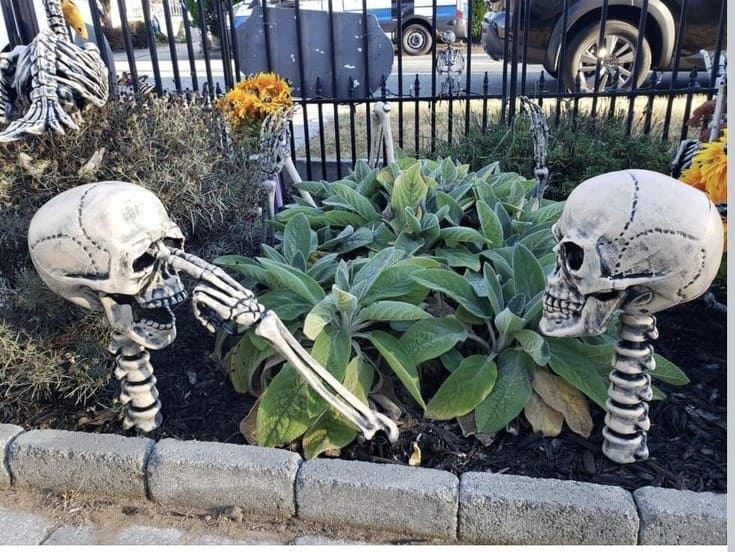 Skeleton Garden Gag Inspired by The Three Stooges