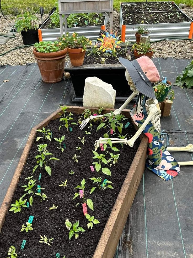 Skeleton Gardener Raised Bed Display