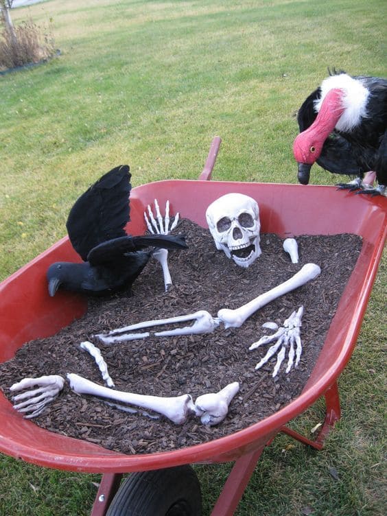 Skeleton Mulch Mystery in a Wheelbarrow
