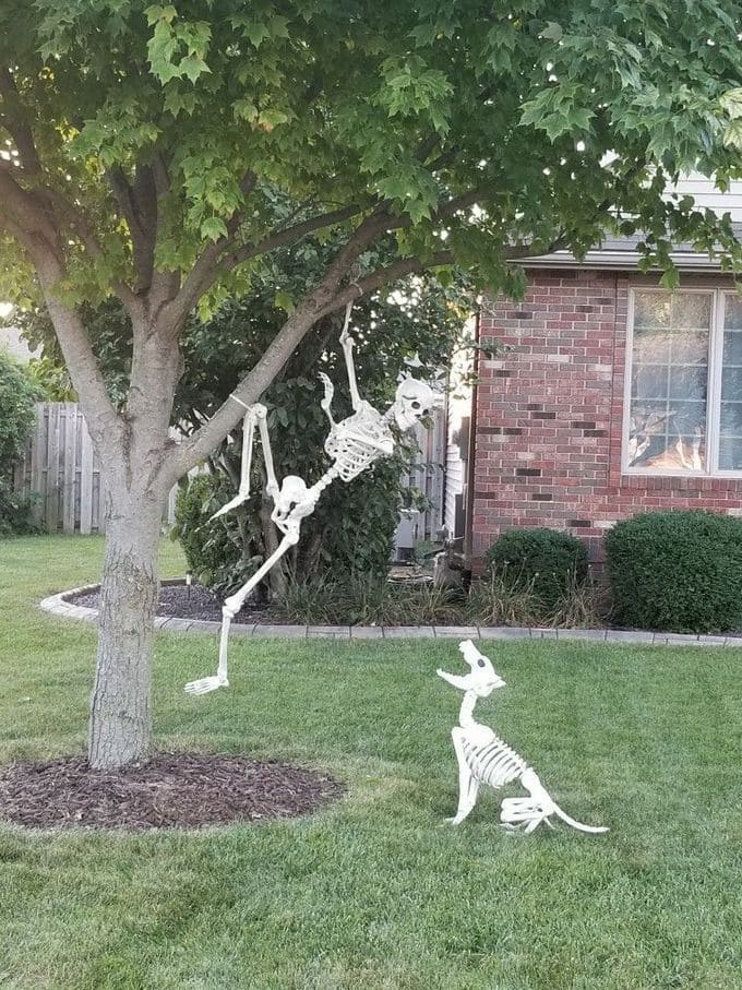 Skeleton Tree Chase Halloween Decor