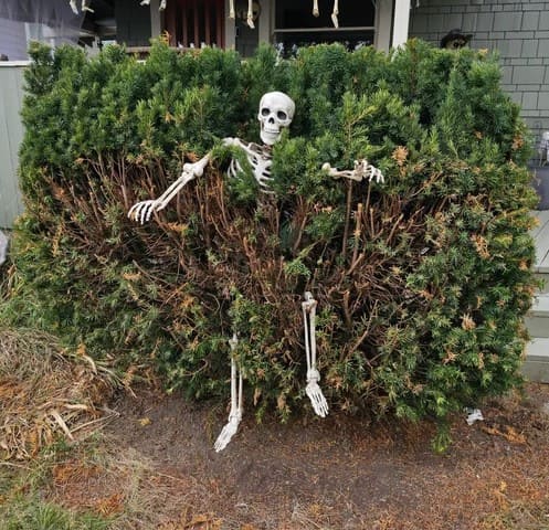 17 Spooky Shrub Decorations That Will Haunt Your Garden This Halloween