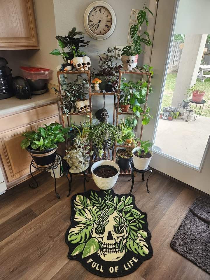 Skull Sanctuary Halloween Plant Corner