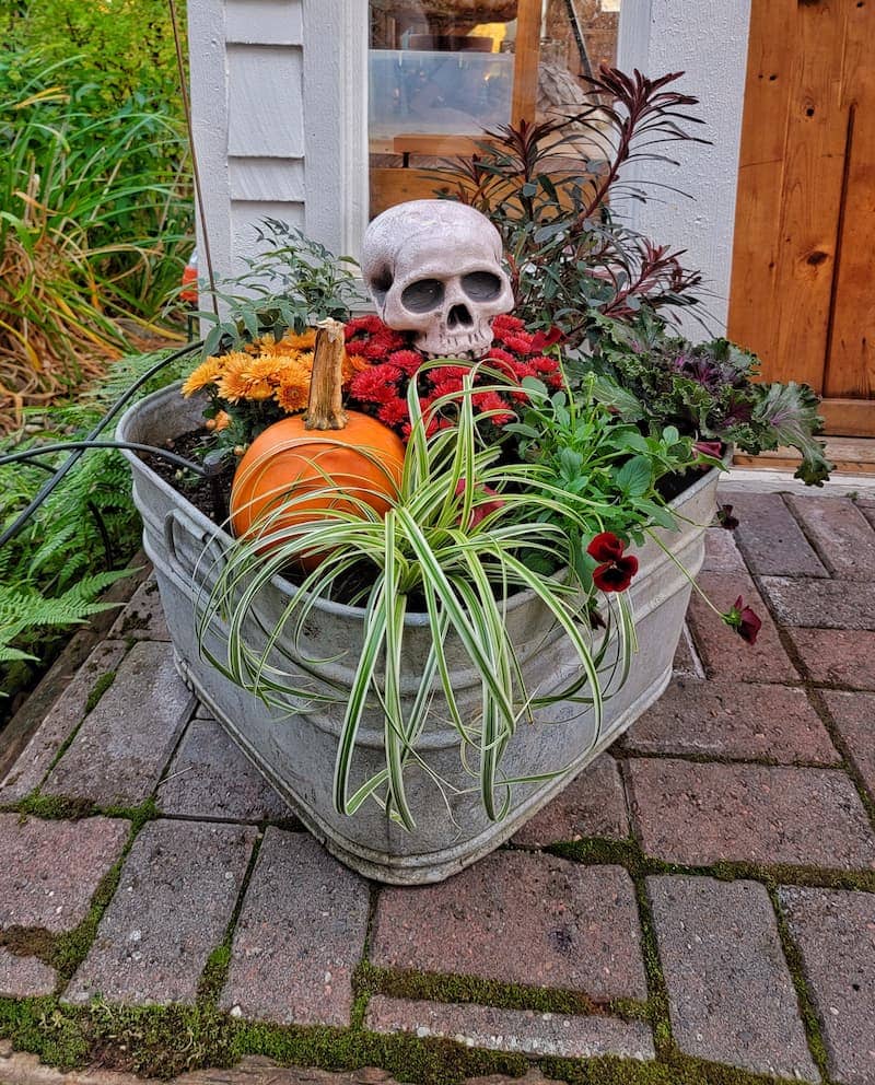 Skull and Petal Planter