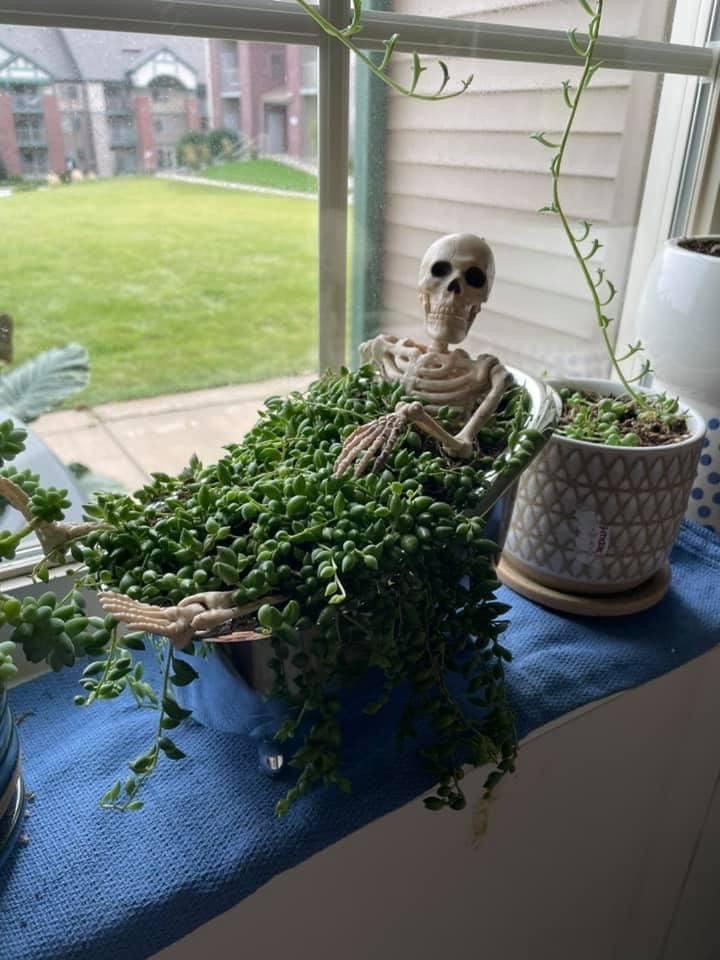 Spa Day Skeleton Halloween Planter