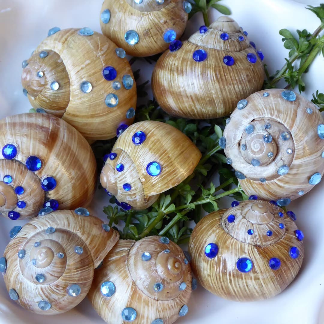 Sparkling Snail Shell Jewels