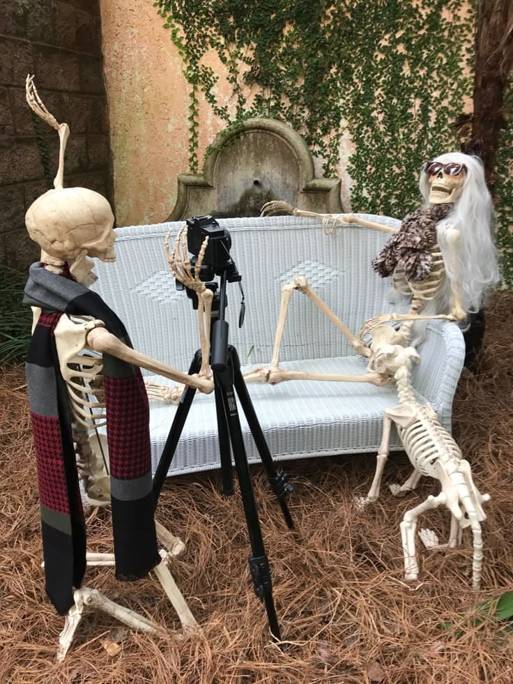 Turn Your Garden into a Bone-Afide Party With These 22 Skeleton Halloween Ideas
