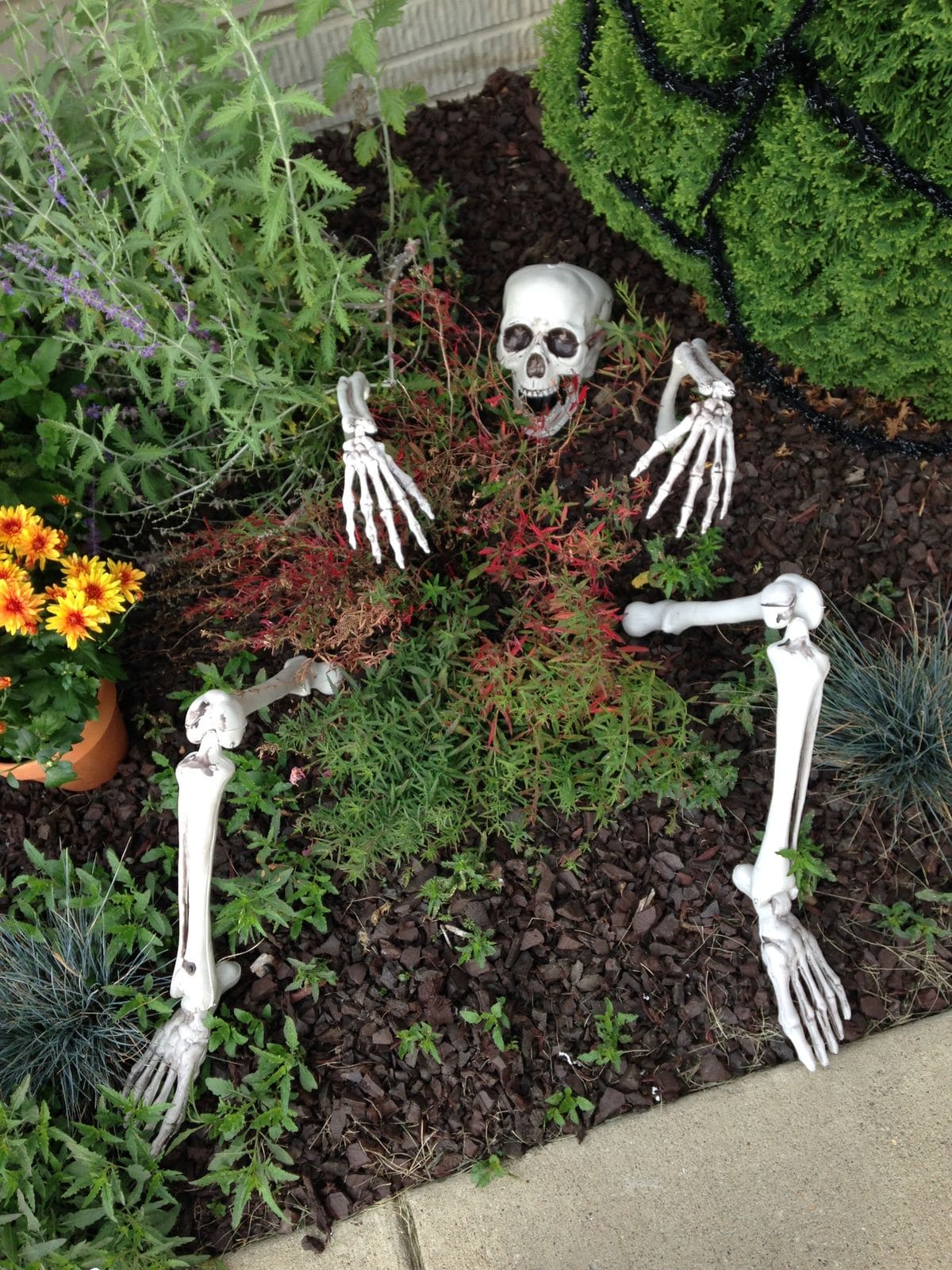 17 Spooky Shrub Decorations That Will Haunt Your Garden This Halloween