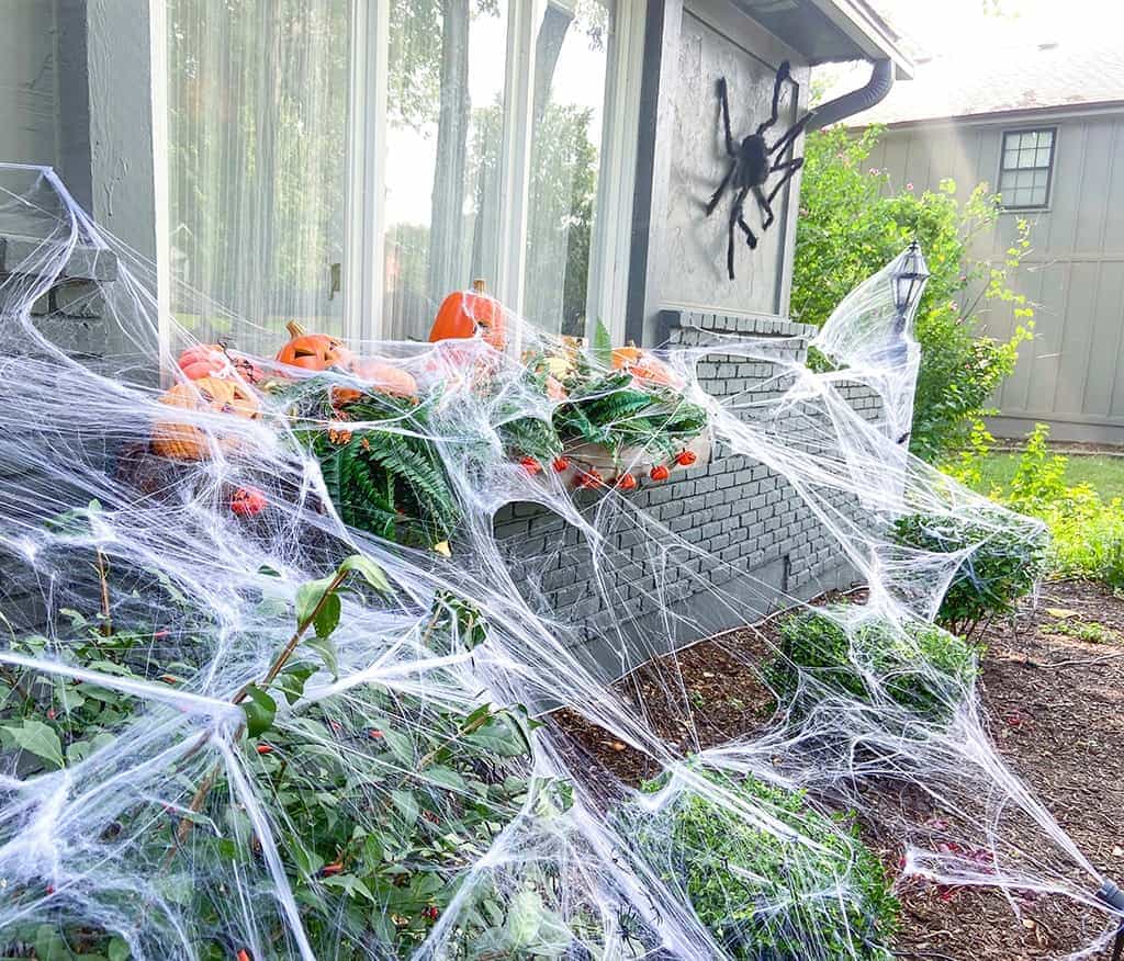 The Spiders Lair