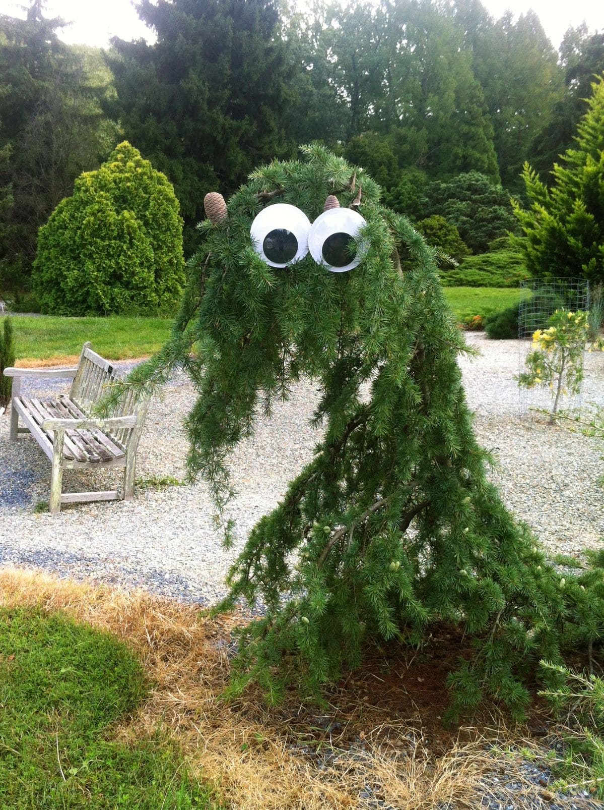 Tree Monster with Googly Eyes