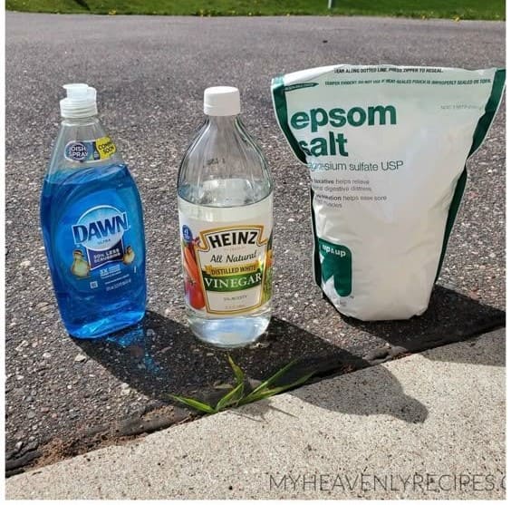 How to Get Rid of Weeds in Rocks Simply And Effectively