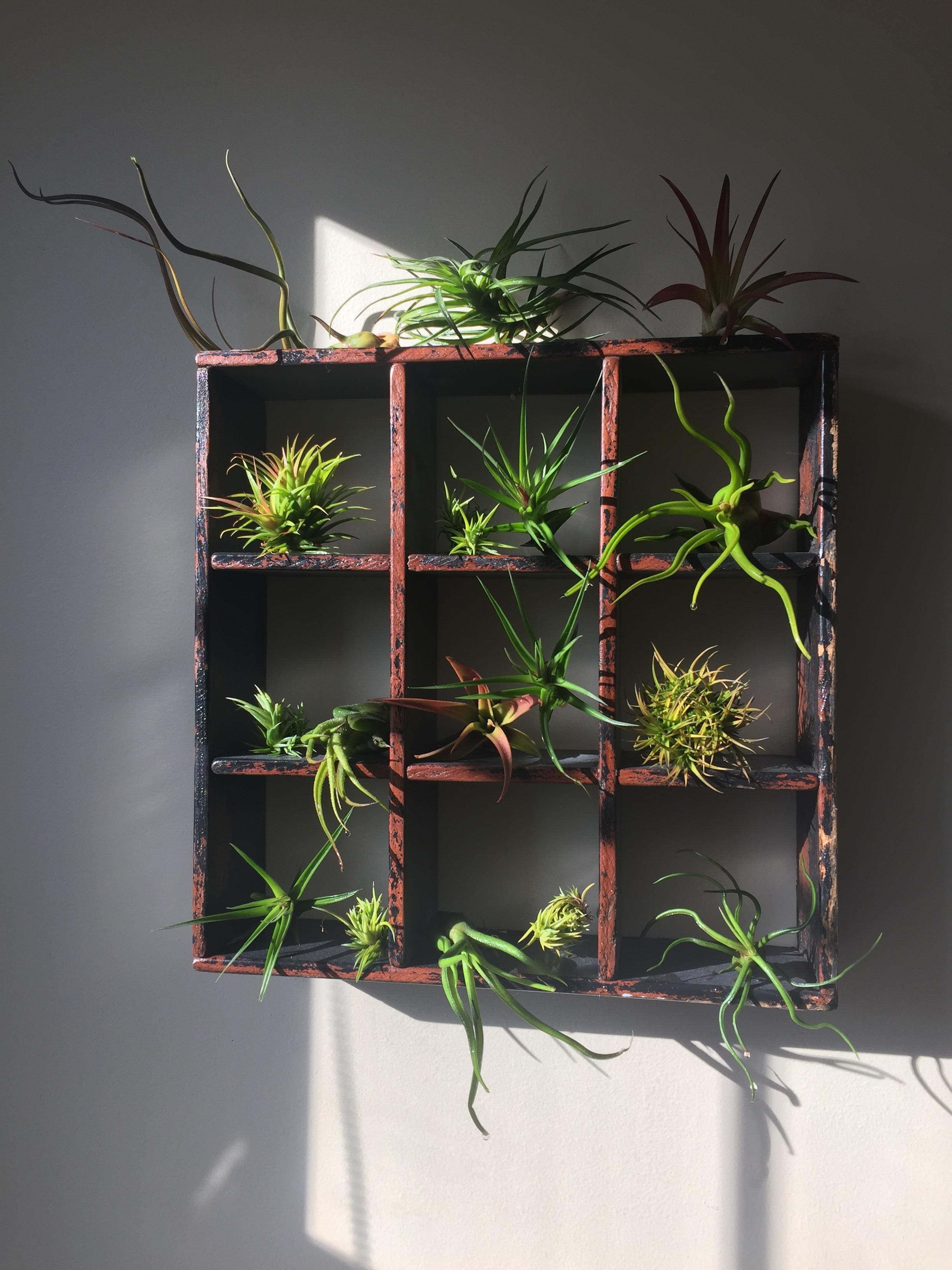 Vintage Cubby Wall Garden