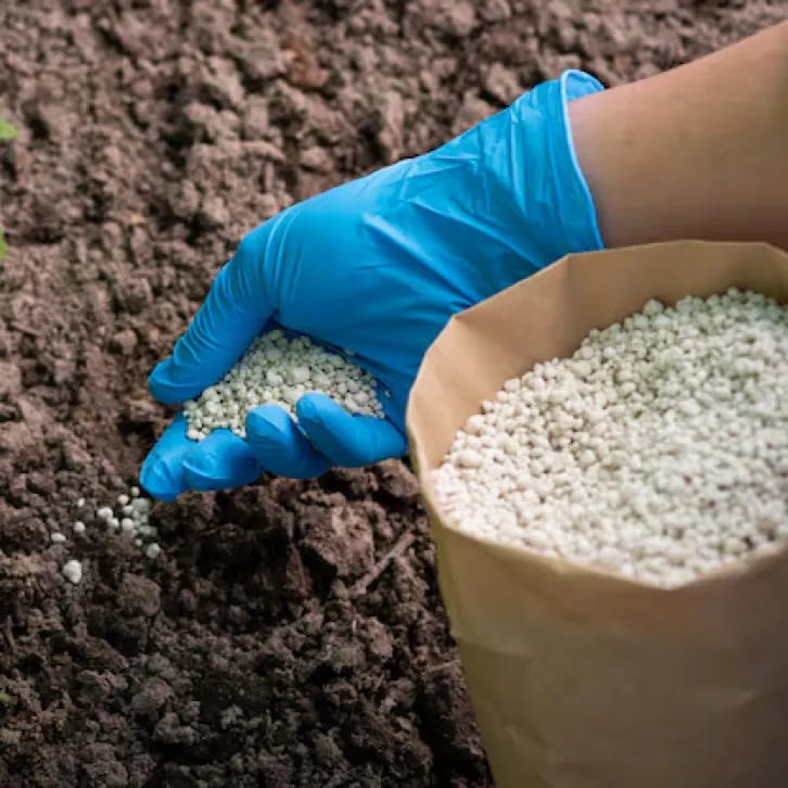 The Complete Guide to Nitrogen Fertilizer: Types, Uses, and Smart Tips for Gardeners
