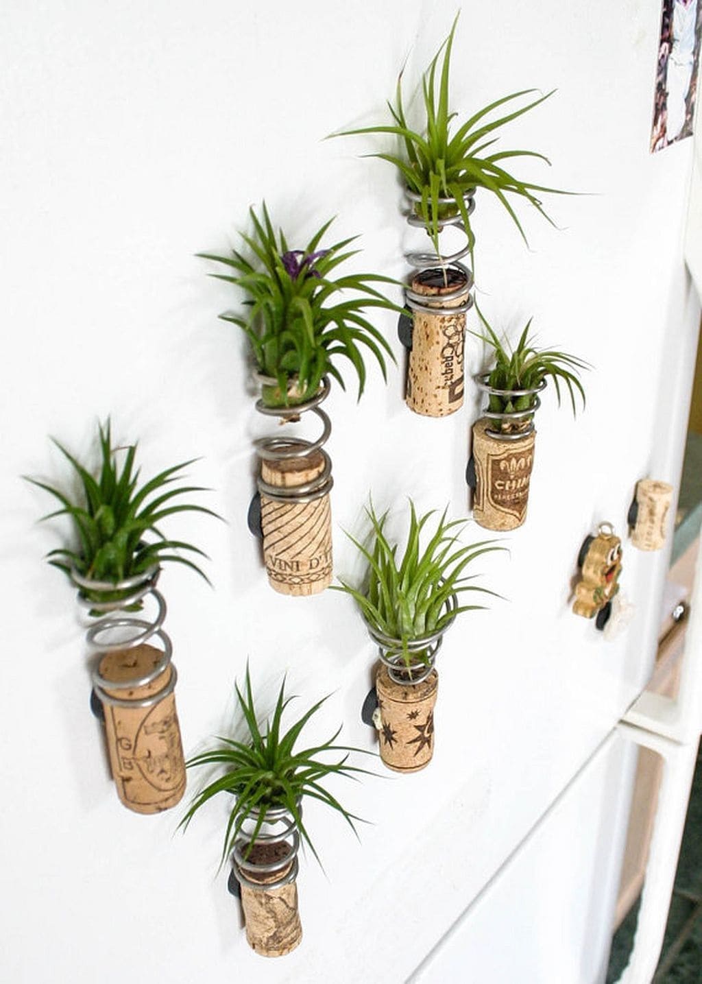 Wine Cork Refrigerator Magnets