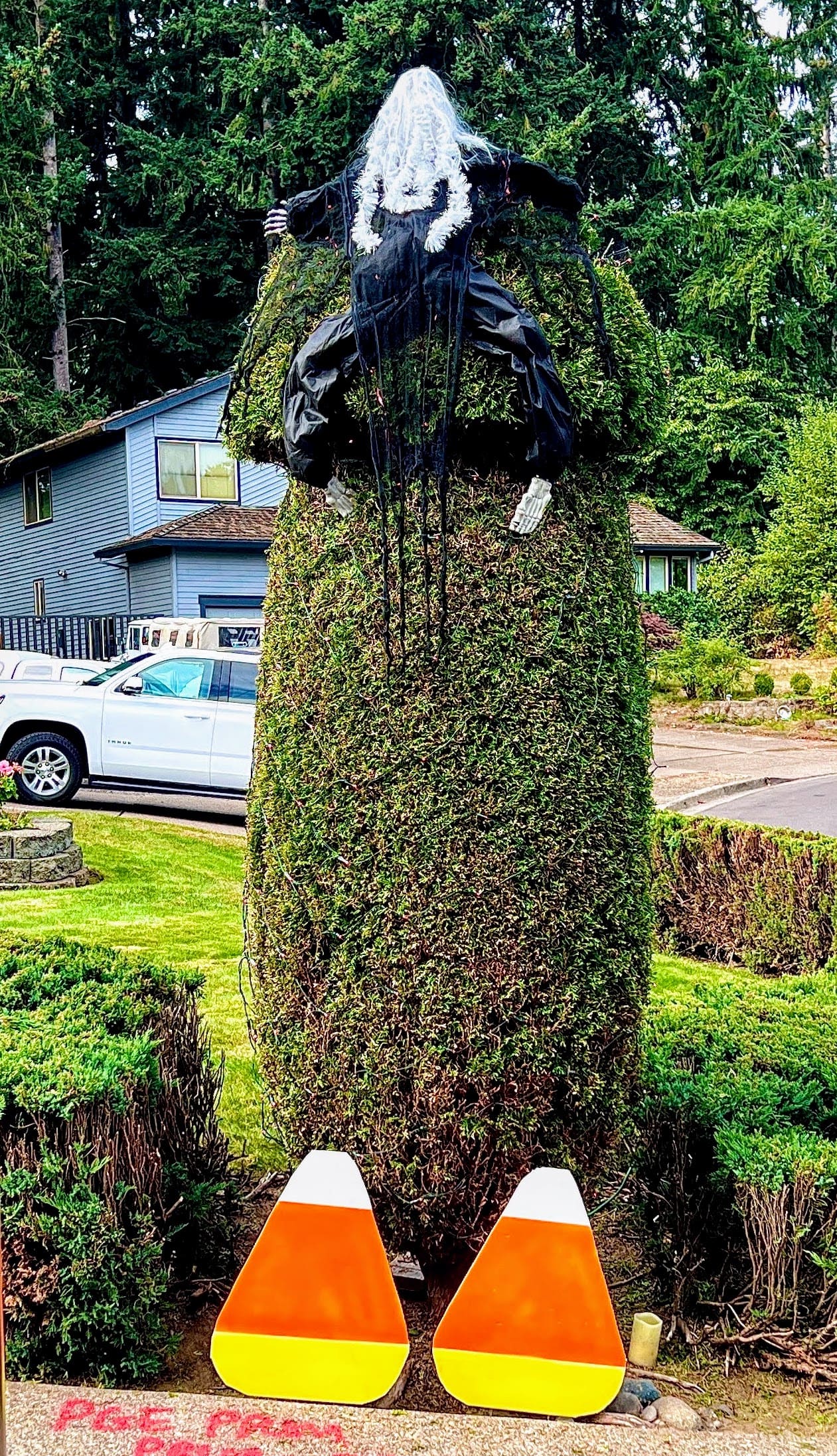 Witch of the Woods Makes Her Move