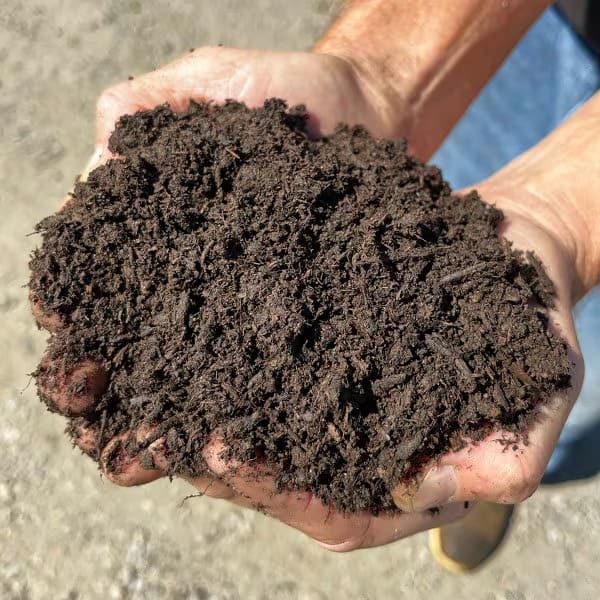 The Complete Guide to Nitrogen Fertilizer: Types, Uses, and Smart Tips for Gardeners