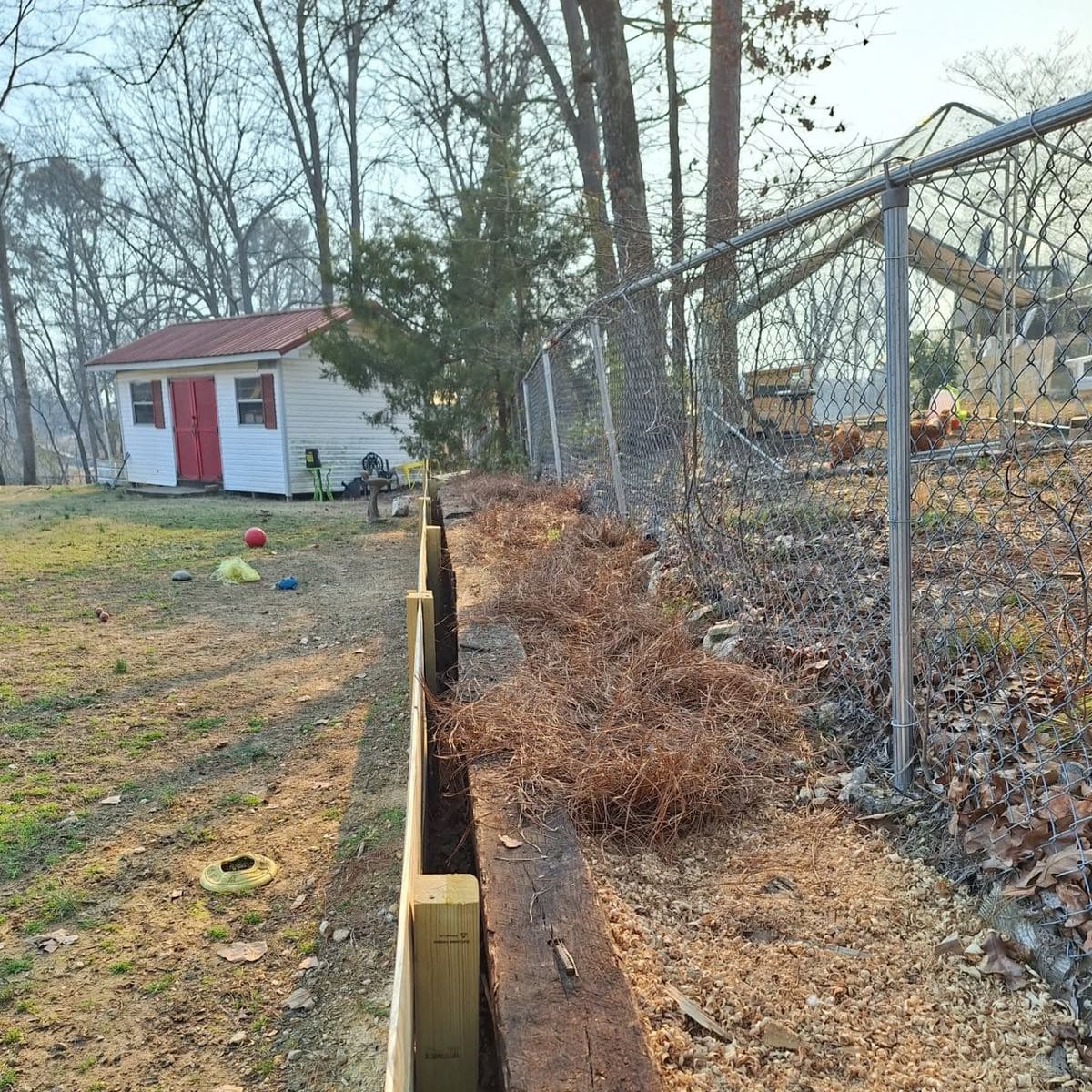 Why Pine Needles Are the Best Mulch for Blueberries