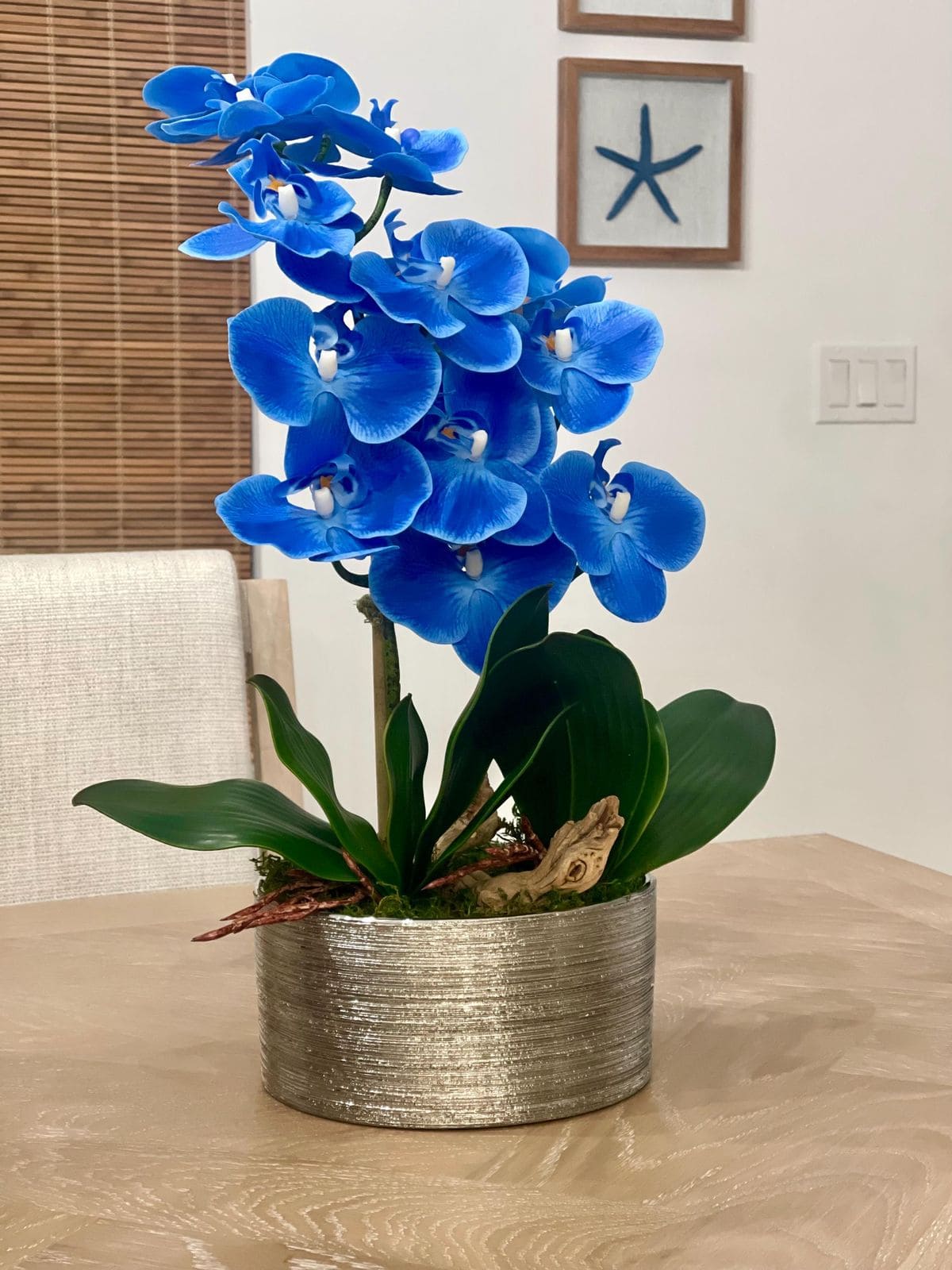 8 Best Orchid Colors and Their Meanings