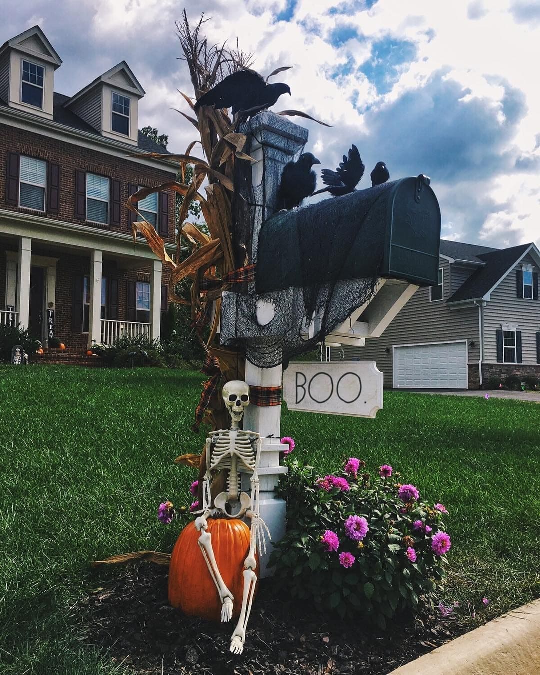 Boo at the Mailbox