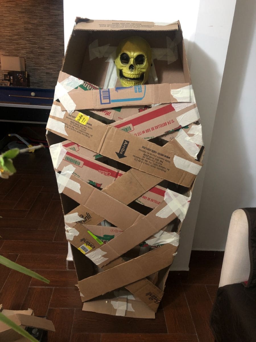 Budget-Friendly Cardboard Coffin