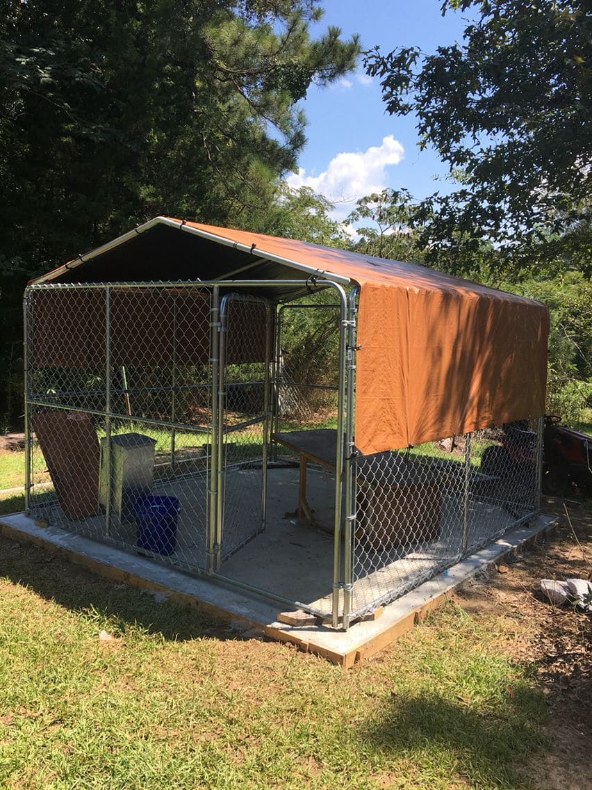 Chain-Link Dog Run with Shade Roof