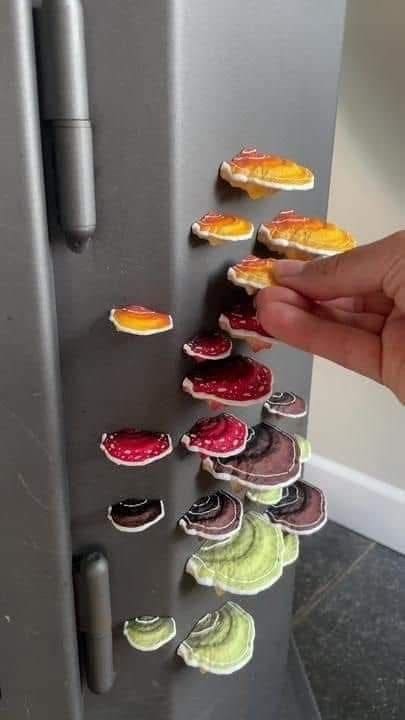 Colorful Mushroom Cap Fridge Magnets