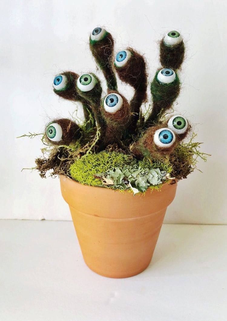 Felted Eyeball Plant