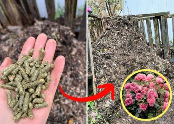 Why Rabbit Food Might Be the Garden Gold You’re Overlooking