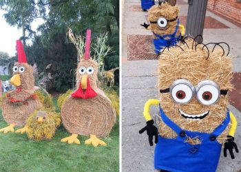 20 Hay Bale Decor Inspirations for Cozy and Festive Fall Projects