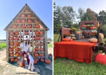 Bring Autumn Home With 20 DIY Garden Decor Ideas