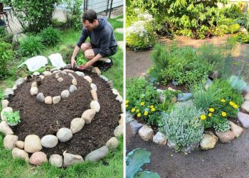 How to Grow a Herb Spiral for Maximum Space-Saving