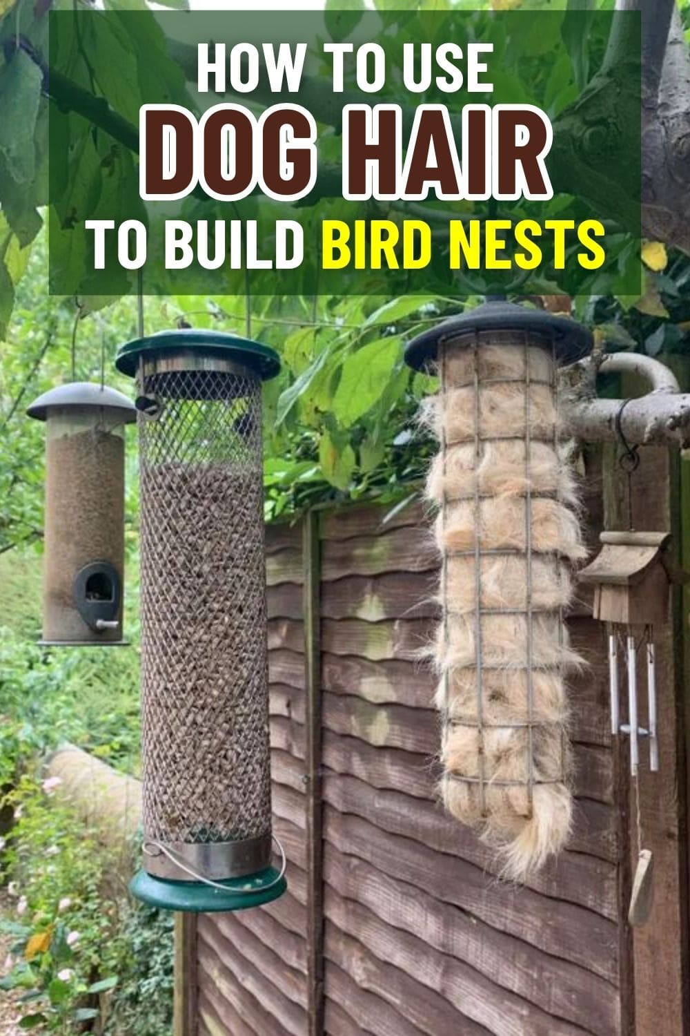 Many Use Dog Hair to Build Bird Nests. Here's Guide: