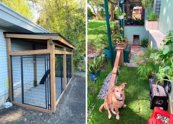 7 DIY Cheap Dog Run Ideas to Build in Your Backyard